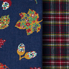 ���܁@���ʕ�