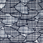 ��n���s����